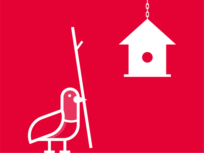 Illustration of a pigeon holding an oversize twig and standing outside a small, hanging birdhouse