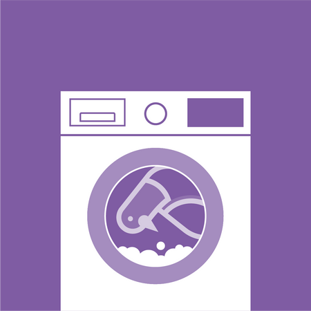 Purple illustration of a washing machine with a pigeon being spun around inside