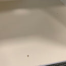 TV unit