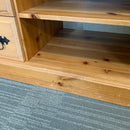 TV unit