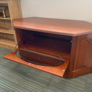TV unit