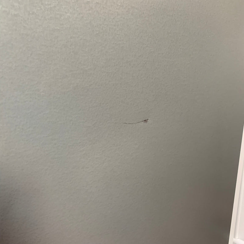 SIEMENS fridge freezer