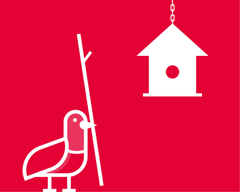 Illustration of a pigeon holding an oversize twig and standing outside a small, hanging birdhouse