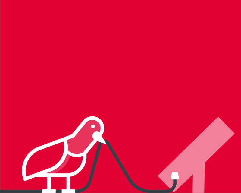 Red illustration of a pigeon removing a plug from a plug socket