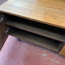 TV unit