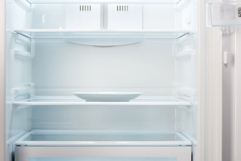 Open and empty fridge freezer with a single plate
